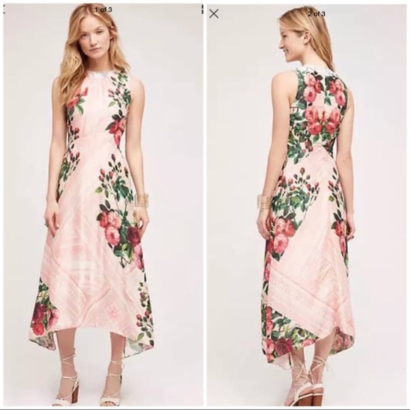 Anthropologie Dresses & Skirts - 1DAYSALENWT ANTHROBUTTERFLY GARDEN FLORALMIDIDRESS